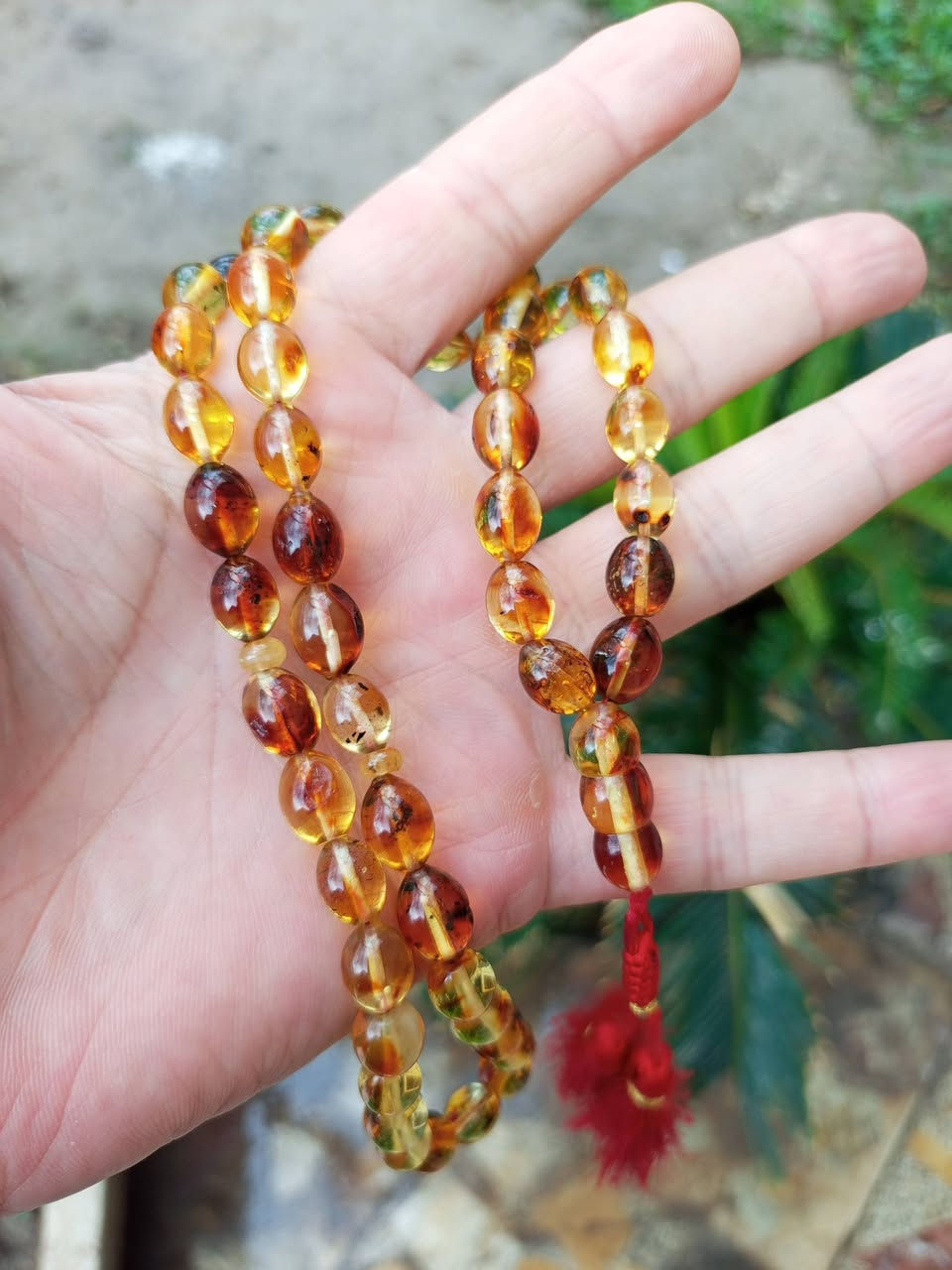 كهرب بولندي حر بحر البلطيق أبو الحشرة ٥١ خرزة عطر نومي بصره بالتسبيح


**إذا كنت صاحب هذا الإعلان وتريد حذفه لأي سبب، رجاءا أرسل رسالة إلى الدعم الفني**