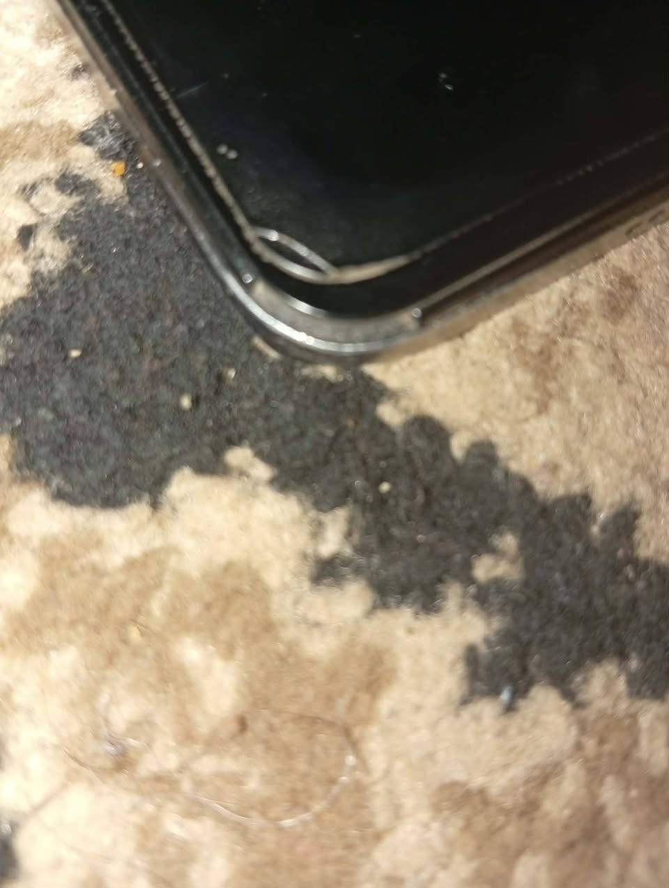 اسلام عليكم  شبايب  عندي  ايباد انفنكس تاب ايباد كلشيي مابي بس ل اطرف واكعات تكدر اتح
مكاني ديالى بعقوبة كاطون الرازي  يم يرطابت ل بلور بل اخير عل حولي ثالث فرع ايباد كلشي مابي شغال شاشة ما بدلة بطارية فول 85 سعرة 190 قفلة قفلة قفلة لي يريدة خلي يجي عل مازنجر دزلي طلب اني اوافق


**إذا كنت صاحب هذا الإعلان وتريد حذفه لأي سبب، رجاءا أرسل رسالة إلى الدعم الفني**