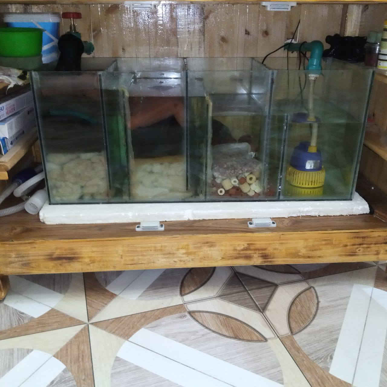 اسعد الله اوقات الجميع
حوض اسماك متكامل الملحقات. للبيع

سمك الجام 10 ملم
الطول 120
العمق 50
الارتفاع 60
منضومة بنظام سامب. يعني ألماء مفلتر تلقائية

السامب اربع مراحل لتصفية الماء من الشوائب
فلتر سقفي لسحب الفضلات

حاليا. خالي من الاسماك فقط الملحقات

دمتم بخير


**إذا كنت صاحب هذا الإعلان وتريد حذفه لأي سبب، رجاءا أرسل رسالة إلى الدعم الفني**