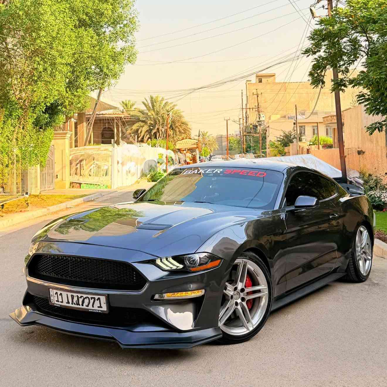السلام عليكم
للبيع موستنك GT 2023
10 نمر 
5000cc
كيجات دجتل
كشنات كهرباء
استرين كاربون فايبر
ويل ٢٠ روش اصلي
لويات ريسنك
ماشيه ٢٣ الف
كشنات تدفئة وتبريد
بصمه تشغيل
تشغيل عن بعد
تخم تاير جديد
السياره وارد امريكي حادثها جاملغ وبنيد 
ايرباك طاك وراجع سستم 
رقم بغداد بااسمي تحويل مباشر 
مكانها المنصور
#السعر 21.900$ 
للاستفسار:***********
