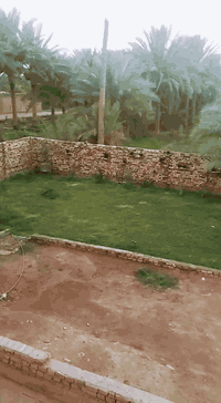 السلام عليكم بيت مساحه 1000 متر مع الحديقه طابو صرف البيت يحتوي على غرفتين نوم خمسه في اربعه وصاله 8 × 4 وصحيات ومطبخ اربعه في اربعه البيت  يبعد البيت عن نهر الكوفه 50 متر تبليط خاص به وما خاص به وكهرباء خاص به قرب كليه الزراعه على الشط سعره 50 مليون


**إذا كنت صاحب هذا الإعلان وتريد حذفه لأي سبب، رجاءا أرسل رسالة إلى الدعم الفني**