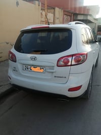 سنتافيه • ٢٠١١ • بدون صبغ