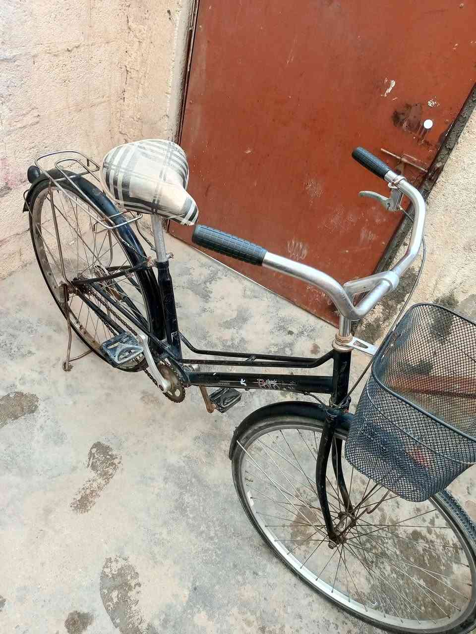 باسكل للبيع مكان كربلاء الجاهز السعر 50 رقم ***********
