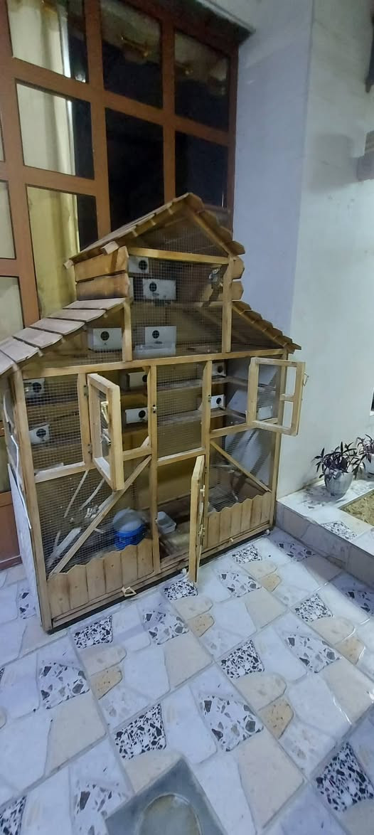 قفص خشب ياباني نضيف
الارتفاع 2 متر 
العرض 1.5 متر
 النزال 90 سانتيم
 السعر 200 الف 
التواصل واتساب  ***********
