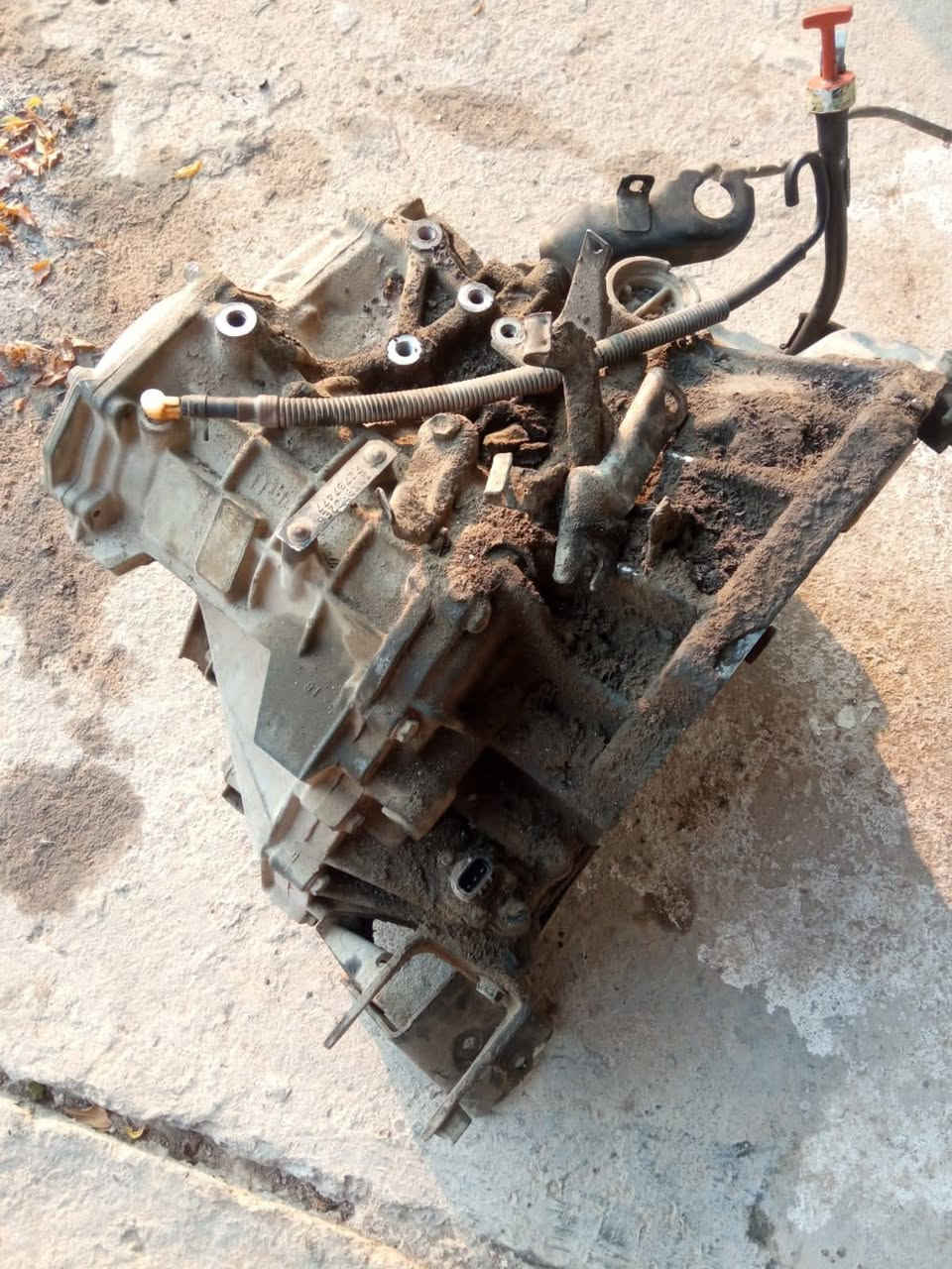 كير كورله خمس تنميرات عطله بس تور باين سعر 260الف مكان ابو غريب رقم ***********
***********
