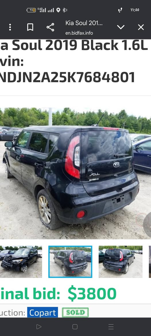 صول 2019 بنيد بلادي وباب سكن صبغ ***********
