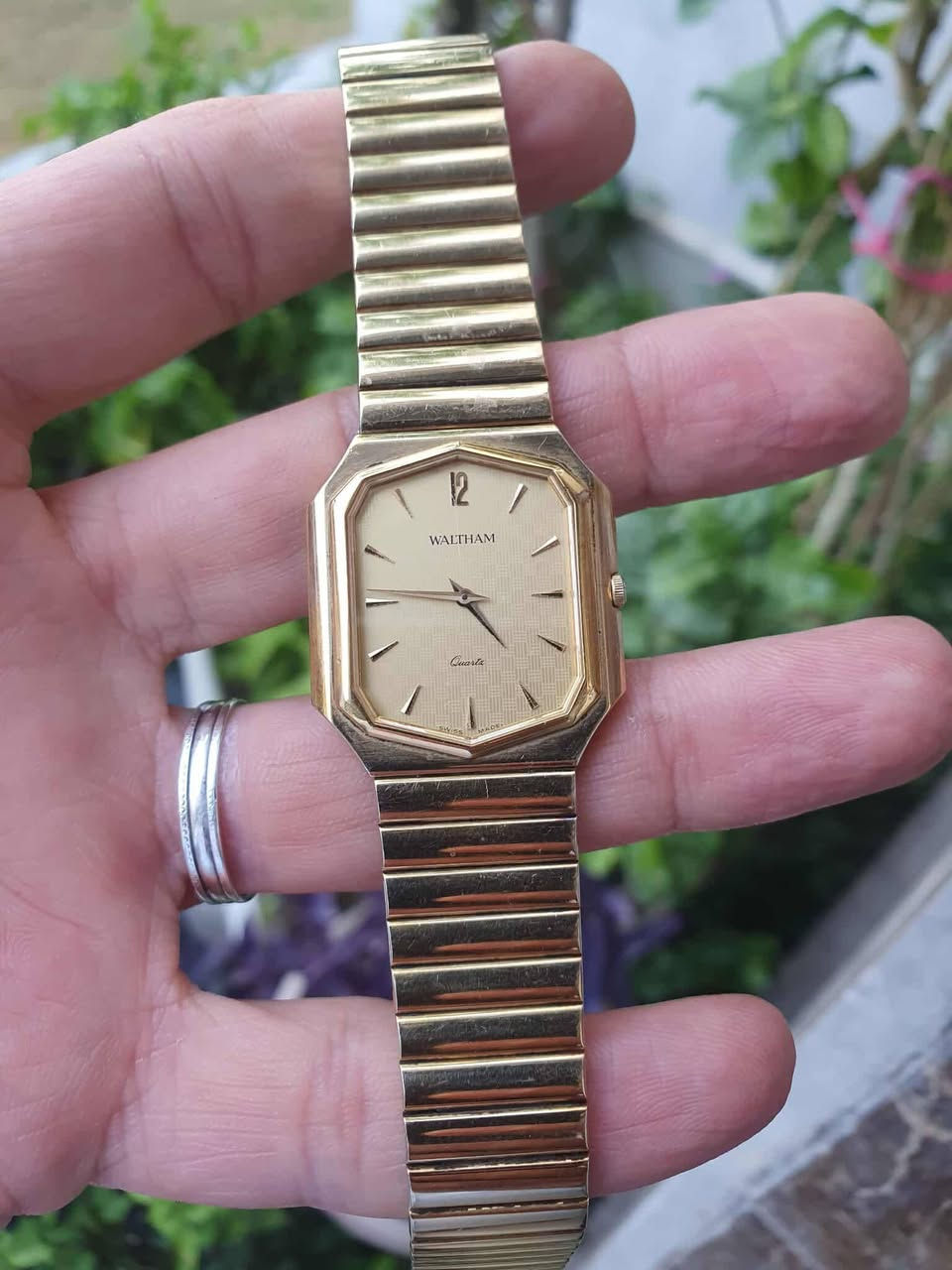 النزاكه من ولثام السويسريه بطاريه سير لايد ناعمه ووسط السعر ١٠٠ دولار لاول تم


**إذا كنت صاحب هذا الإعلان وتريد حذفه لأي سبب، رجاءا أرسل رسالة إلى الدعم الفني**