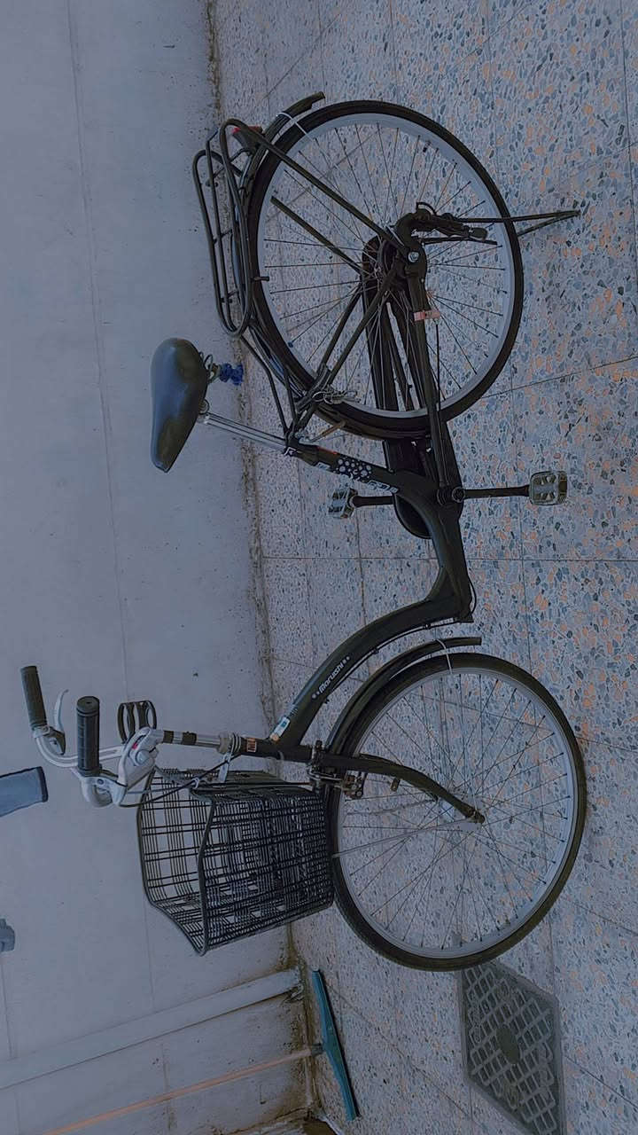 السلام عليكم من رخصت الادمن عند باسكل بايدر للبيع 
حجم 26 تايرات جديد باسكل جديد مال باله ياباني جاهز من كلشي بي قفل وسله ويا السعر 85الف وبي مجال  مكاني رمادي شارع 20 التواصل على هاذا الرقم ***********

(قابل المراوس)
