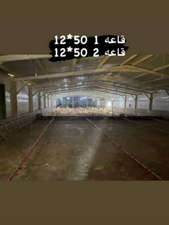 🔴⚪ اعلان رقم 30 ⚪🔴

#مشروع_استثماري مميز و فريد من نوعه 

( #فرصة_العمر )

#ارض مساحتها 22٫5 دونم بالسند واقع حال 26 دونم 

#تحتوي على 
#حقول دواجن عدد (6) 
#الحقول اوتوماتيكية بالكامل ( فول اوتو ) 
كل حقل يحتوي على #غرفة_سيطرة و تحكم خاصة 
كل حقل يحتوي على #منضومة_تدفئة_و_تبريد 
الحقول مجازة و رسمية بسعة استيعاب
50  _ 70 الف ( لحم ) 
35 _ 40 الف  ( بياض ) 
بالاضافة الى حقل 7 ( #كايدز ) منجز بنسبة 60 ٪ 
مع اضافة الحقل السابع تزداد سعة الاستيعاب الى 120 الف ( لحم ) و 70 الف ( بياض ) 

تحتوي الارض على #معمل علف كامل مع مخازن للاعلاف 

تحتوي على 5 #مولدات كبيرة الحجم 
100 kv _ 160 kv _ 250 kv _ 250 kv  _ 300 kv   

تحتوي على بيت كامل يحتوي على 
#مكتب_ادارة + #غرفة_عمال + #مطبخ + #غرفة_نوم + #حمام كرمكم الله 

تحتوي على 4 خطوط #ماء_اسالة مع خزانات صب كونكريتي تحت الارض  

تحتوي على #محولة خاصة 

الارض #مسيجة من جهتان 

#كادر_العمل متميز و نضامي 

الارض شغالة حالياً 

العنوان #محافظة #واسط #قضاء #العزيزية 

موقع الارض جداً ممتاز قرب الشارع العام 

السعر للدونم الواحد 55 مليون قابل للتفاوض 

 للاستفسار اكثر مراسلة الصفحة الرائد للاستثمار العقاري  
او الاتصال على الارقام 

*********** مؤمل احسان 
***********  احـمـد العباسي 

 متابعة للبيج وعمل لايك للاطلاع ع افضل وانسب العروض المناسبة لكم دائماً 
 
" #مع_الرائد_نحوَ_الريادة "

 "#الرائد ثقتكم الدائمة واستثماركم الناجح "
