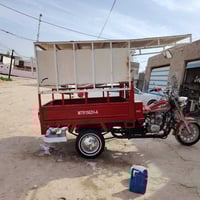 ستوته • موديل 22 • كفاله عامه