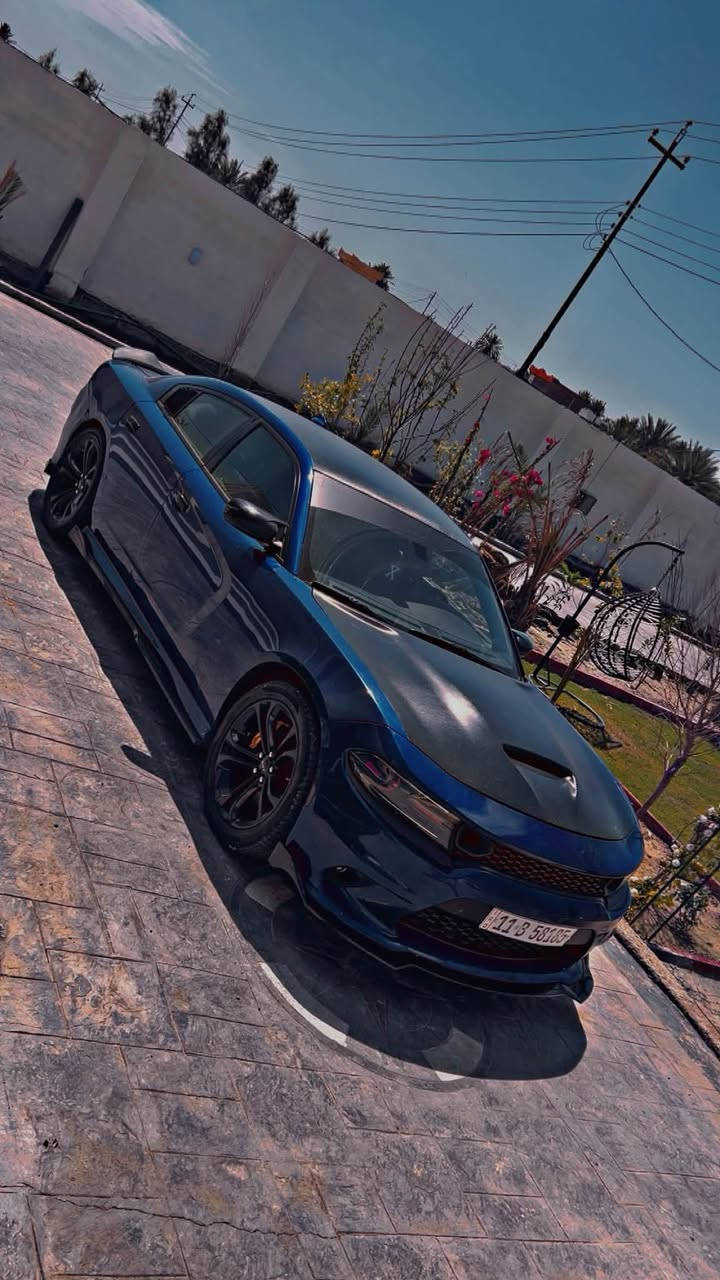2021Dodge Charger 5700Rt
🛑موديل2021
🛑المكينه 5700ccمكفوله 
🛑شاشه كبيره
🛑شفتات ستيرن
🛑دبات سود صوت الكزوز يرعد
🛑برمجه سيفتي وتحديثات كله يم مصطفى ايكل سرعه مفتوحه فصله قفل
🛑كت كامل هيل كات
🛑سماعات الباين صوتهن يخبل
🛑تدفئه تبريد كشنات وستيرن وتبريدها ثلج
🛑عليها ادامه كامله
🛑عبوه جديده قبل اسبوع شادها باور ستيل
🛑بلكات جدد
🛑 ادامه حداديه صدر قبل اسبوع شادها اصلي
🛑مازدات متغيره 
🛑راديتر جديد 
🛑عليها اويل كاج كان
🛑ممشاها ١١١كيلو

اخوتي الأعزاء السياره مبيها نقص برغي كامله على اخر حبه مال جناي ومصروف عليها من ادامه من ترتيب يعني تأخذها متصرف عليها اي شي صور حادثها بالمنشور مكفوله من الكص الحادث بالعراق السياره نضيفه حيل تفيدك هله بيك وعلى راسي متفيدك هم على راسي

⭕️السعر 205$ وبيها مجال للشراي
المكان الزعفرانيه 
***********
