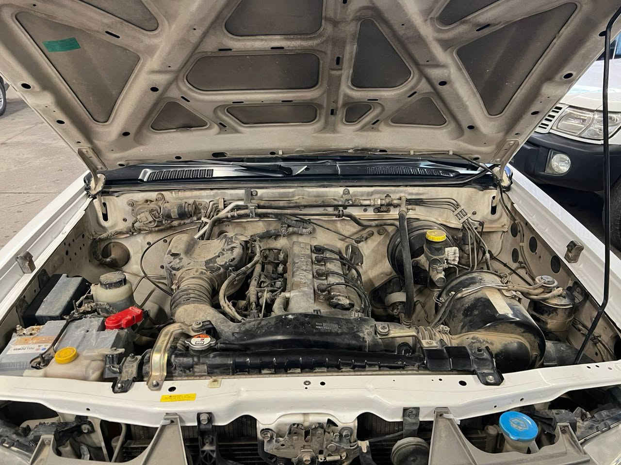 نیسان مۆدیل 2009 یابانی بۆیاخ نیە ڕەقەم سلێمانی تا 2030 بەنەو خۆمانە 165کم ڕۆشتوە مەکینە هیچ نەکراوەتەوە سەیەرەکە لەسەر دەقی شەریکەی ماوە هەمو گیانی بەشەرت 
نرخی 
148 گڵا که مێ معەملە 
شوین چوارقوڕنە 
ژ.م 
***********
*********** رانية, السليمانية
