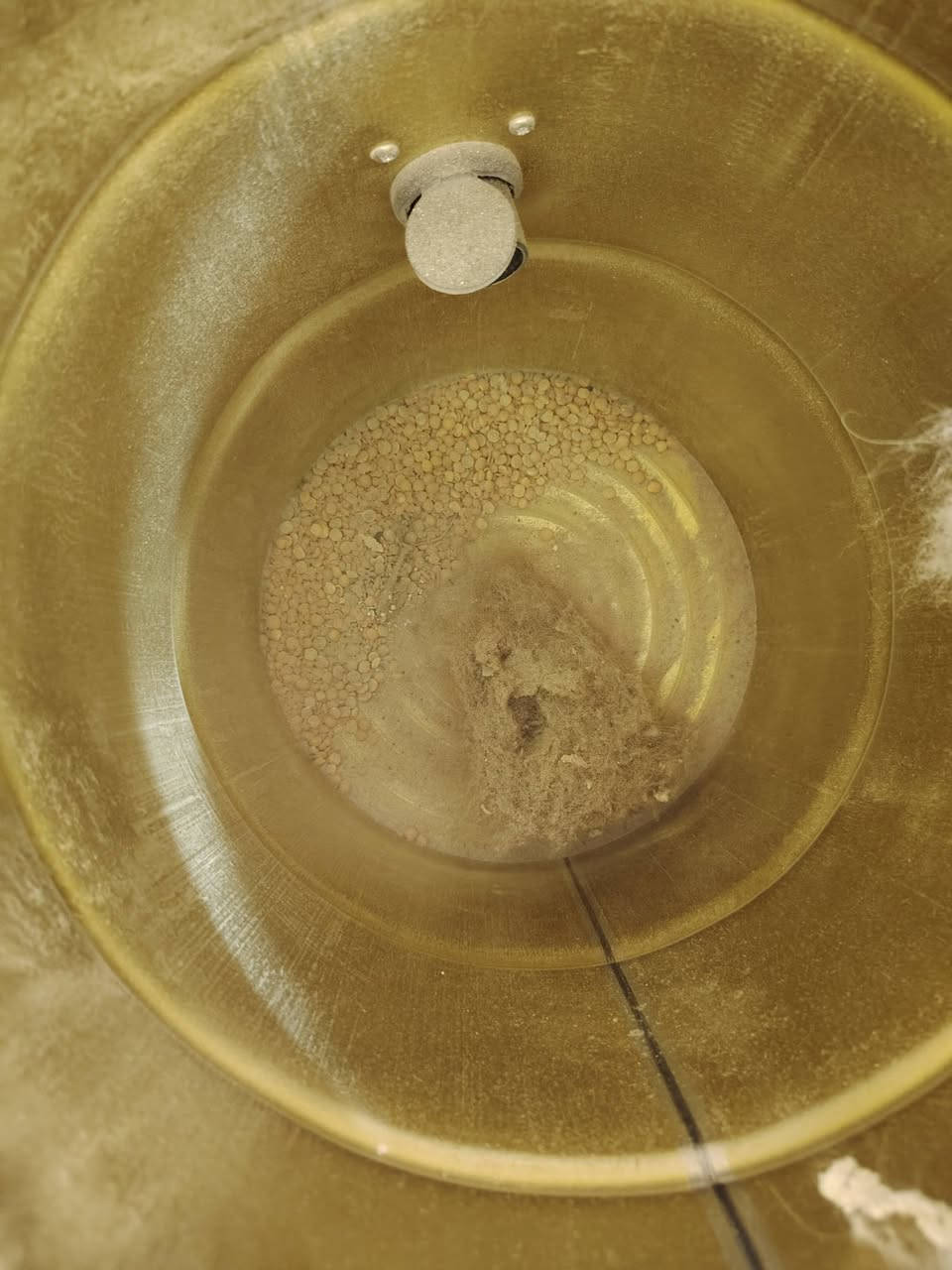 للبيع السعر ٥٠ شفط قوي جديده امانه الله


**إذا كنت صاحب هذا الإعلان وتريد حذفه لأي سبب، رجاءا أرسل رسالة إلى الدعم الفني**