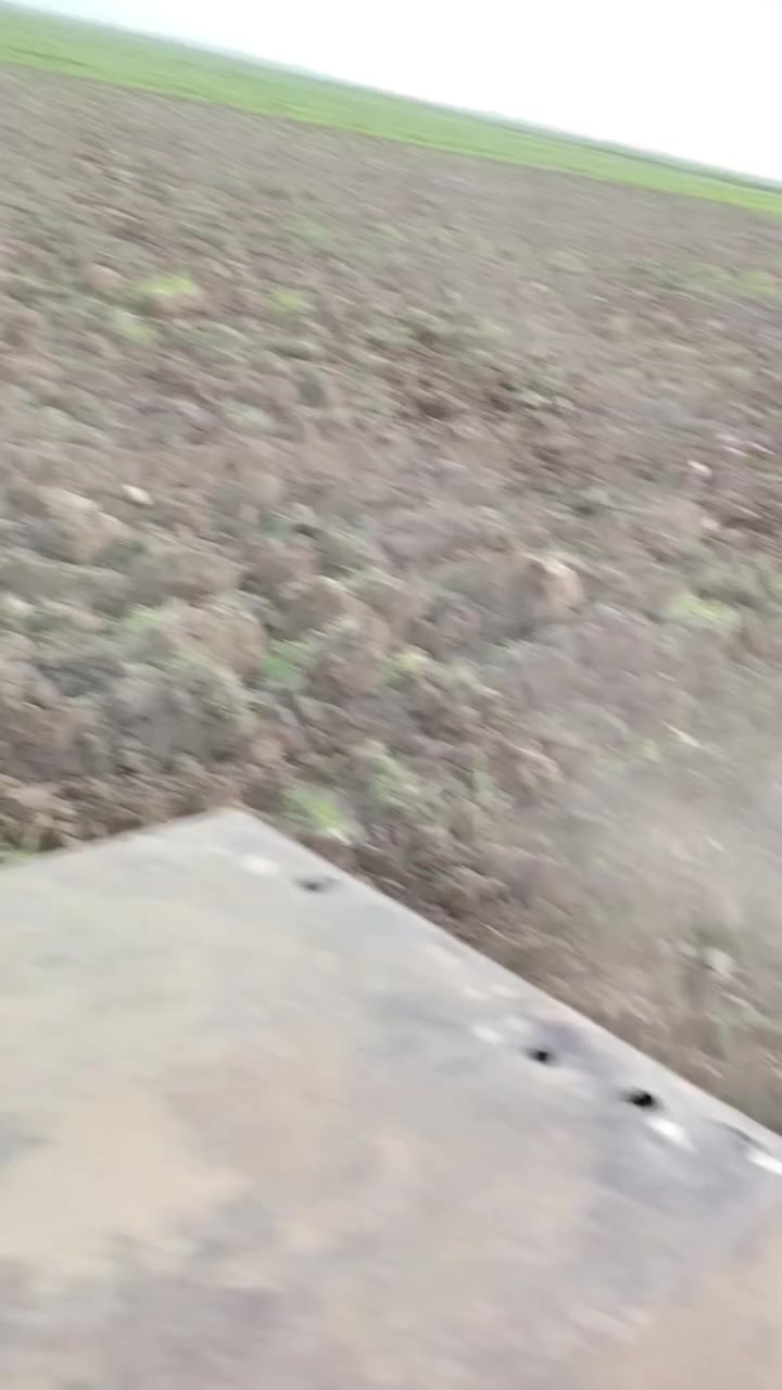 فدان عنتر محور بلادي لا عواج ولا مفتوح برغي بي  شرط حجم 10 للبيع  مكاني كشكول الخير الجديده


**إذا كنت صاحب هذا الإعلان وتريد حذفه لأي سبب، رجاءا أرسل رسالة إلى الدعم الفني**