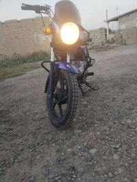 بوكسر • ٢٠٢٤ • ديالى