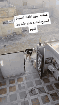 كادر لبخ سمنت جص اجراره طلس وفرشي اشتايكر ***********
