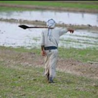 مطلوب فلاح بدون سكن... عندي 3دونم بيه عنب وتين وارض غير مزروعه بيه ماط...