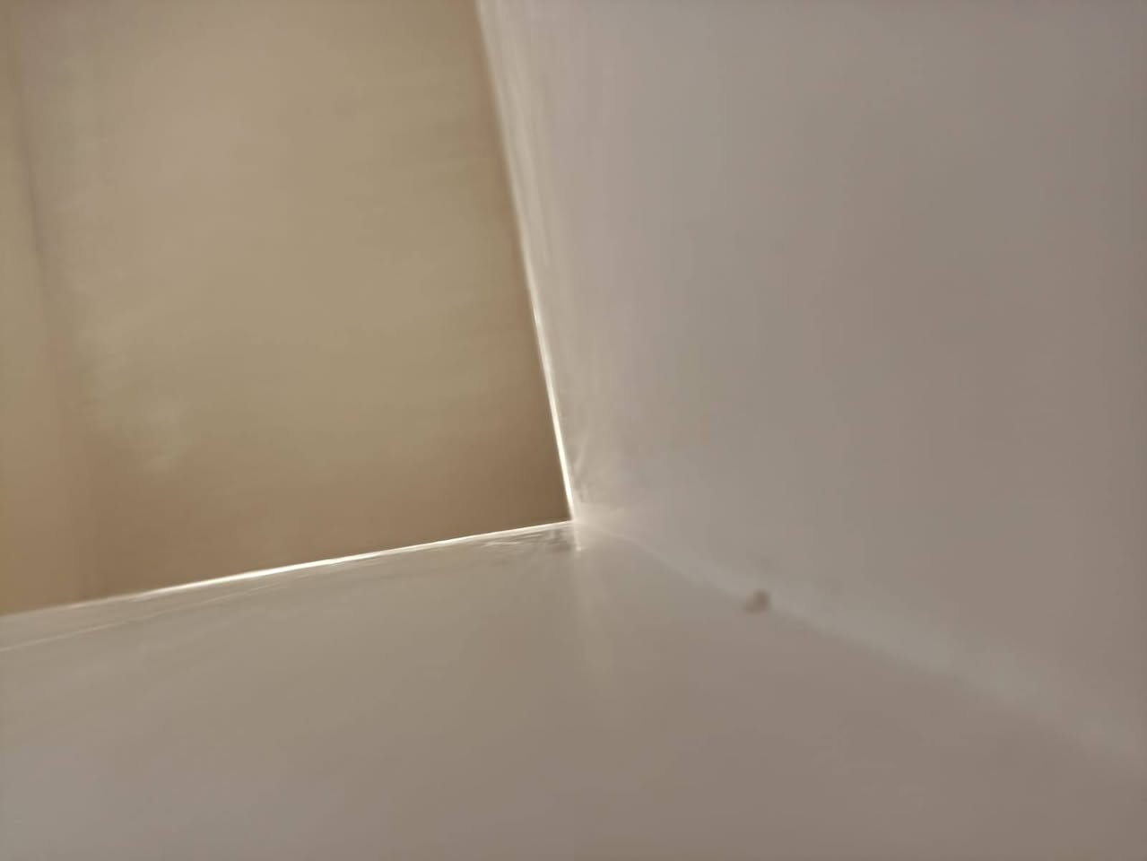 خلف الفوجه جص بورك شقل درجه وله تسليم مهندس اربع خلف عمل في بغداد فقط ***********
*********** نتصل
