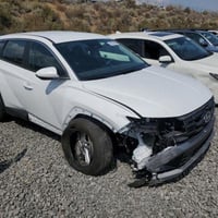 دخول جديد • بدون ارقام • بابل