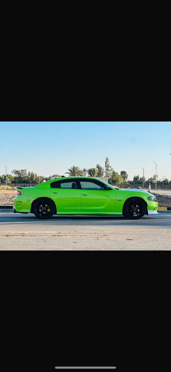 جارجر اصل اصل 19محدثه GT(أمريكي ) السعر 195 لون (🍏 تفاحي )المميز مامشتغله خط ابد 
أبيع ٥قطع صبغ بدون دواخل فول السياره جديده كلش (ماشيه 70ميل ) رقم بغداد الإنكليزي هزه جديده 
المحرك :3600
الموصفات 
*ويل 20انج تخم تاير جديد 
٠مقاعد رياضيه جلد 
٠مصابيح إماميه زنون 
٠كشافات الضبابية زنون 
٠شاشه كبيره 
٠سستمً صوت الباين 
٠مقاعد إماميه كهربائه 
٠تشغيل عن بعد 
٠محدد سرعه 
٠كامرهً خلفيه 
سياره ديده معنه الكلمه 
للستفسار  مكاني بابل ***********
