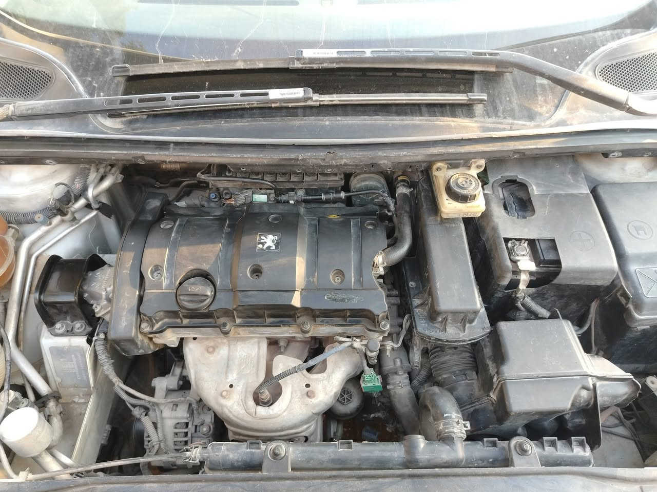 السلام عليكم.. بيجو 307 موديل 2006 محرك 1600.. رقم انكليزي باسمي سنوية لحد 2030 تقريبا
سيارة نظيفة جدا محرك وكير مبدلات جدد وارد ياباني باتري جديد تايرات نظيفة كهربائيات بلادية مملعوب بيها ابد مابيه اي جطل ولا تحوير 

سيارة مابيها حادث 

دواخل جديدة.. كلشي بالسيارة يشتغل حدادية الصدر كلها جديدة تبريد منظومة كاملة جديدة السيارة مسويلها ادامة كاملة للمحرك وللكير تبريدها ثلج تدفئة تشتغل بيها صبغ الدعاميات والدوسات فقط مكاني بغداد الشرطة الخامسة 

السعر 62

***********

***********
