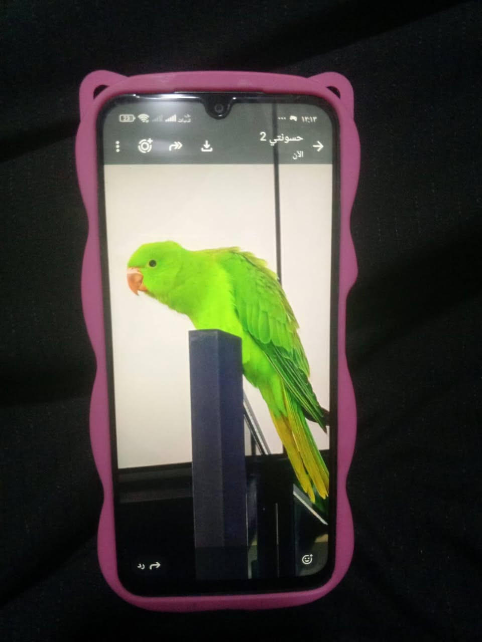 عراض للبيع كلمن وسعره


**إذا كنت صاحب هذا الإعلان وتريد حذفه لأي سبب، رجاءا أرسل رسالة إلى الدعم الفني**