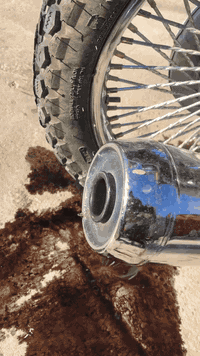 السلام عليكم
صالنصه بلادي ام الصوت رياضي للبيع نضافه شوف العين سعر ٢٥ الف مكاني شارع الاحتفالات


**إذا كنت صاحب هذا الإعلان وتريد حذفه لأي سبب، رجاءا أرسل رسالة إلى الدعم الفني**