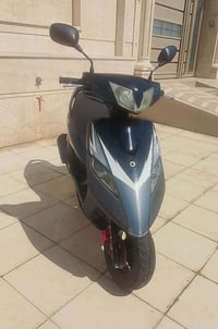 ثعلب • ياباني • لايت زنون