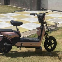 حجم ١٤ • بطاريات جديدة • بدون زنجيل