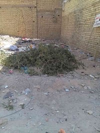 للبيع 50متر الخطيب  الزراعي شارع الشركه الوجه 5والنزال 10 والسعر مناسب...