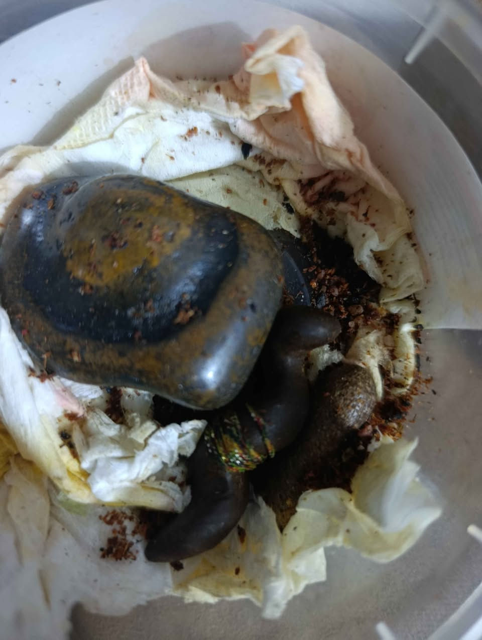 حجار كلشي موجود سلطاني مصور ملاكط نوادر زوعات يخبلن هبهاب داودي هندي مصور لبيع تواصل خاص بغداد, العراق


**إذا كنت صاحب هذا الإعلان وتريد حذفه لأي سبب، رجاءا أرسل رسالة إلى الدعم الفني**