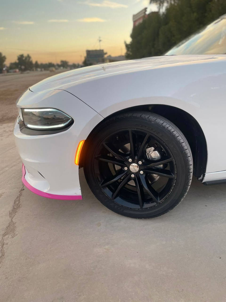 جاجر 15 البيع بيه 5 قطع صبغ مراوس بيع ترهم  بابل مكانه ***********
