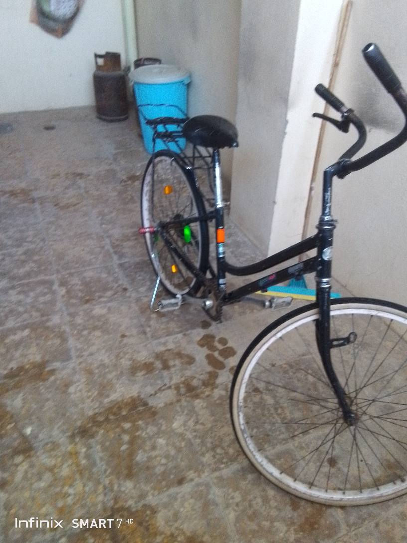 نجف كوفه شارع المعمل النجف, العراق


**إذا كنت صاحب هذا الإعلان وتريد حذفه لأي سبب، رجاءا أرسل رسالة إلى الدعم الفني**