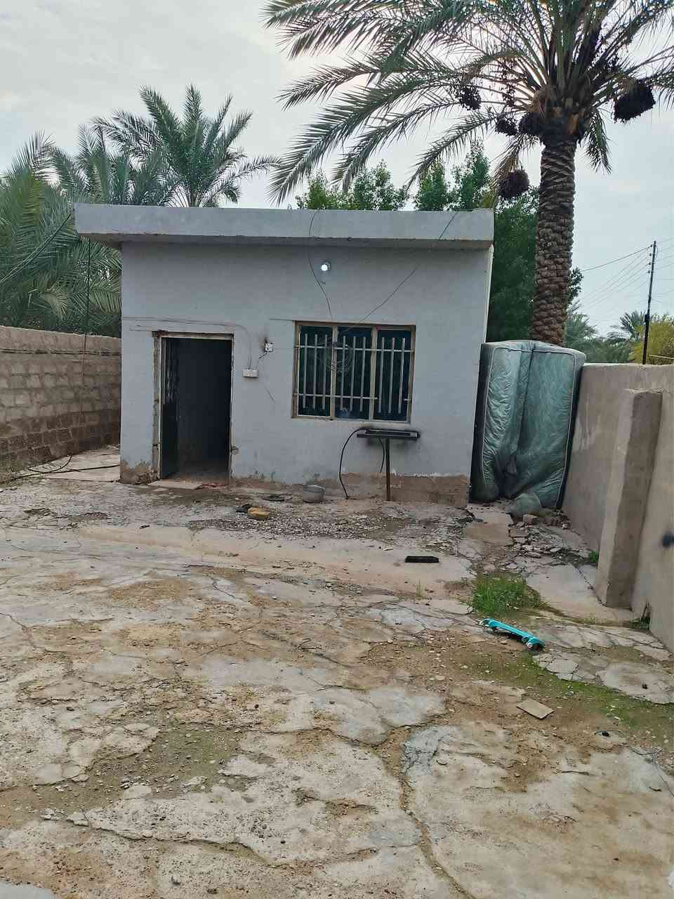 السلام عليكم ... بيت للبيع بشارع الغرير قرب المولدة الثانيه فرع ابو صخر على اليسرى طابو زراعي المساحه 200 يحتوي على غرفة+ حولي+ ملحقاتها +حديقة + حمام خارجي مشترك سند بأسمي بيت كامل مجاري + كهربائيات + تبليط لحد الباب ابيع سعر گاع 
السعر : 93 وبي مجال 
للاستفسار الاتصال على الرقم نت ماعندي 
***********
