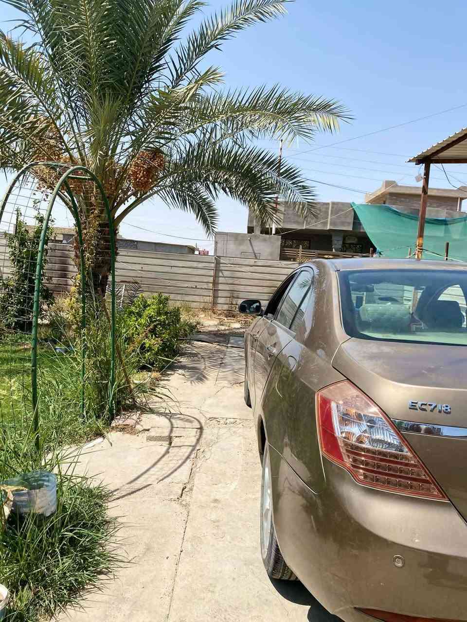 جيلي ام كراند موديل 13 سي 7 كير محرك مكفول سيارة جاهزة تبريد صدر جديد كهربائيات كاملة الشراي يجي يشوف ويدلل 
السعر 55وبيهة مجال مكانهة بغداد التاجي رقم الهاتف ***********
