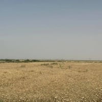١٣ دونم • واسط الكوت • ماء وكهرباء