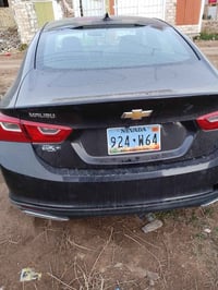 ماليبو • ٢٠٢٣ • صك فقط