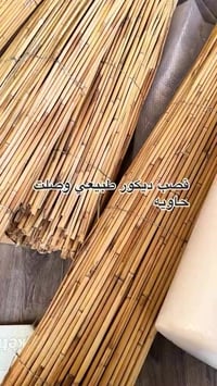 القصب • قصبة • العراق