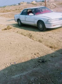 مكفولة • رقم صلاح الدين • بشطره