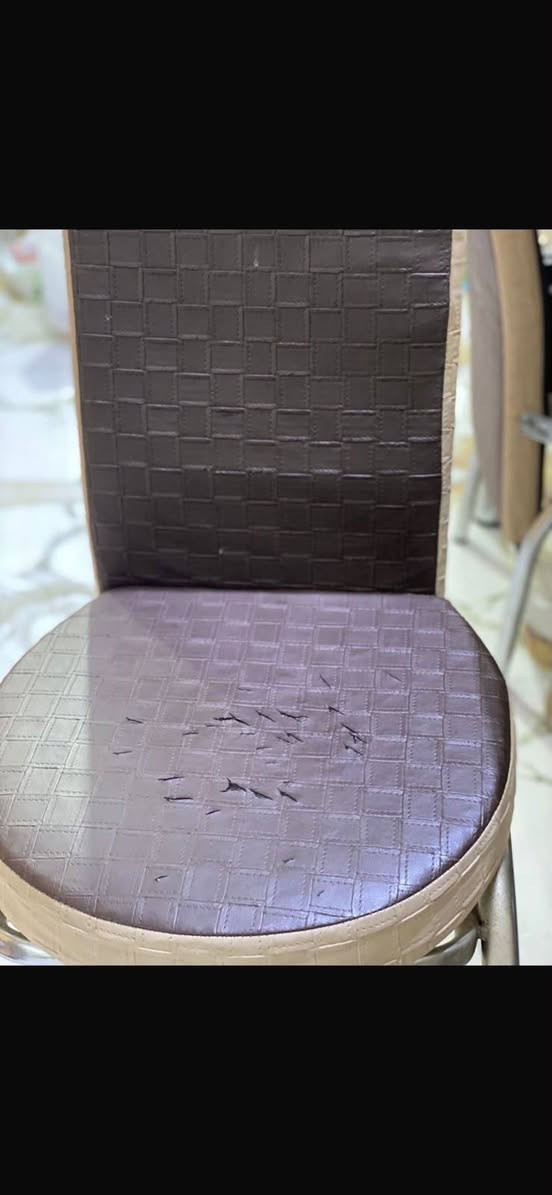 ميز طعام ويا اربع كراسي واحد من الكراسي بي ضرر بالجلد موضح بالصورة سعر ١٧٥ مكان الشعب


**إذا كنت صاحب هذا الإعلان وتريد حذفه لأي سبب، رجاءا أرسل رسالة إلى الدعم الفني**