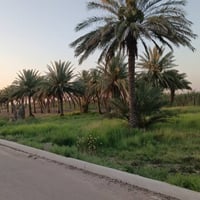 ٣٣ دونم • شارع بغداد • طابو ٢٥