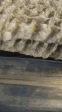 خلفه مشويات  متفرغ مكاني بغداد الحريه  ***********
