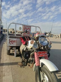 ستوته • موديل ١٤ • رقم وسنوية