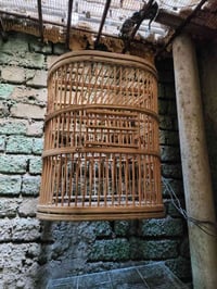 اقفاص طيور