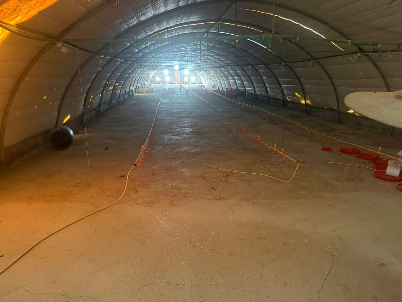 مشروع استثماري 
ارض زراعيه مساحه ٧ دونم مجازه من الدوله تحتوي ع ٣ حقول نظام المغلق بلاستيكي جاهزه للعمل والحقل الرابع قيد الإنشاء بالإضافه إلى محوله كهرباء ١٠٠ كيفي فقط للأرض 
مولدات عدد ٢ كمنز ١٥٠ كيفي 
بيركز ١٢٥ أمبير كاتم 
ماء احواض تانكيات خزن ماء التدفئة غاز و نفط بويلر غرفه عدد ٢ للعمال مع صحيات وكل غرفه سبلت شغال راوتر عدد ٢ 
الموقع خلف بيت سيد عقيل ابو الشيت طريق جاهز لحد الحقول

للاستفسار والتواصل
***********
***********
