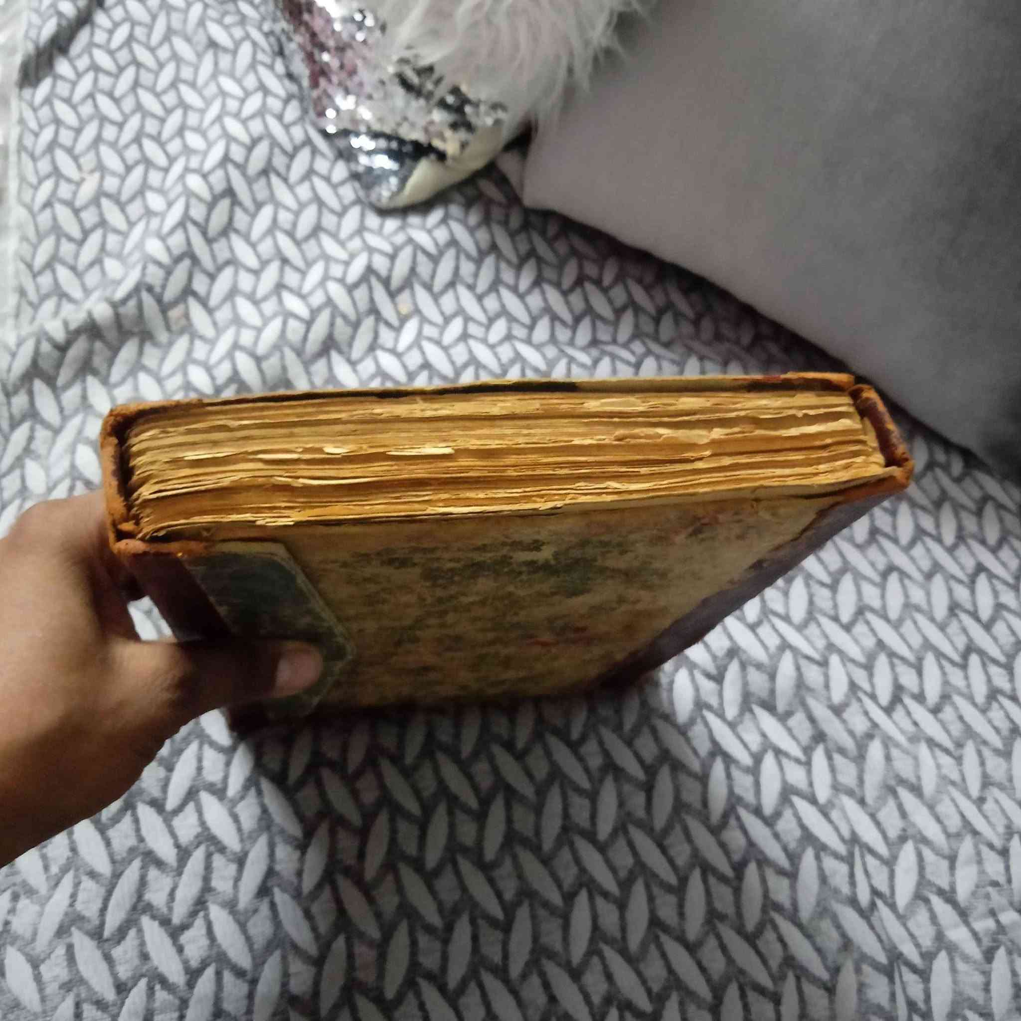 كتاب صحيح البخاري قطعه مش هتتكرر كثير الكتاب بحاله جيده جدا ربنا يبارك لصاحب النصيب عمر فوق ال 200 سنه القاهرة, مصر


**إذا كنت صاحب هذا الإعلان وتريد حذفه لأي سبب، رجاءا أرسل رسالة إلى الدعم الفني**