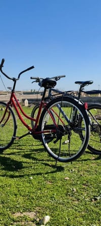 باسكل عبد الحليم • مقاس 26 • ما يحتاج