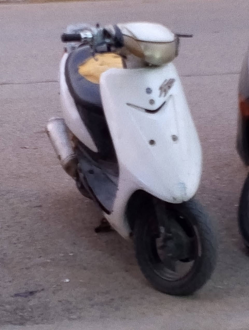 سلام عليكم شباب عصفوريه للبيع رقم الهاتف *********** مكاني انوار الصدر
