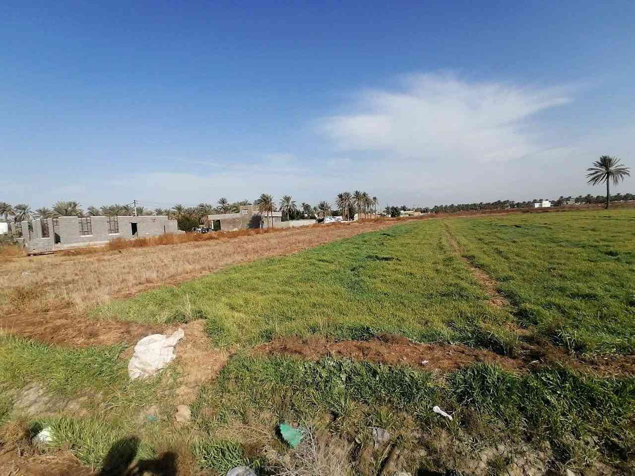 السلام عليكم
للبيع 
*قطعه ارض 2 دونم (5000متر) 
*متوفر كافة الخدمات ماء+ كهرباء + شارع
* تبعد عن الشارع الفرعي (التبليط) 30 متر فقط
*سند الارض طابو زراعي تحويل مباشر في طابو المسيب
*السعر 29 مليون للدونم الواحد وبي مجال
*الموقع/الشاخة - قرب مدرسة الناصرة
للاستفسار/ ***********
