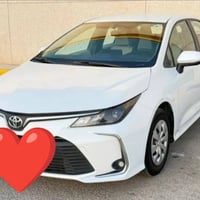 كورلا • ٢٠٢٤ • رقم اربيل